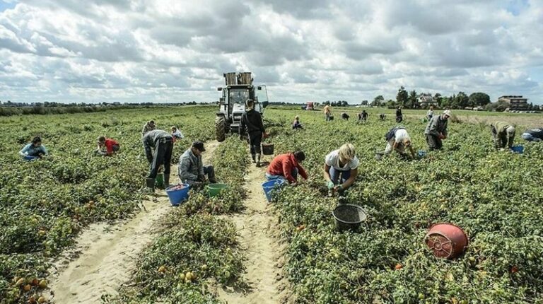 “I controlli nel settore agricolo non devono creare disagi ai lavoratori”. L’appello della CIA di Salerno