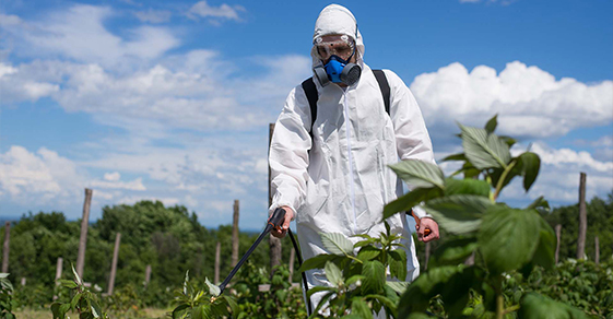 Covid-19. In Basilicata accordo sicurezza del lavoro in agricoltura. Fanelli:”Obiettivo contrastare contagio”