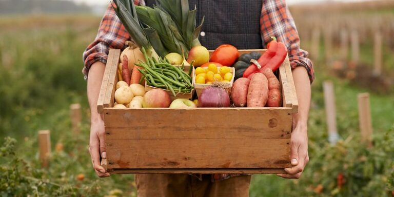 “Prodotti delle imprese agricole lucane per famiglie in difficoltà”. L’idea dell’assessore regionale Fanelli