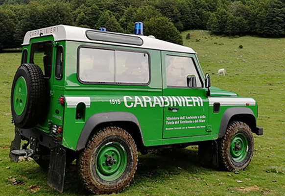 carabinieri forestali