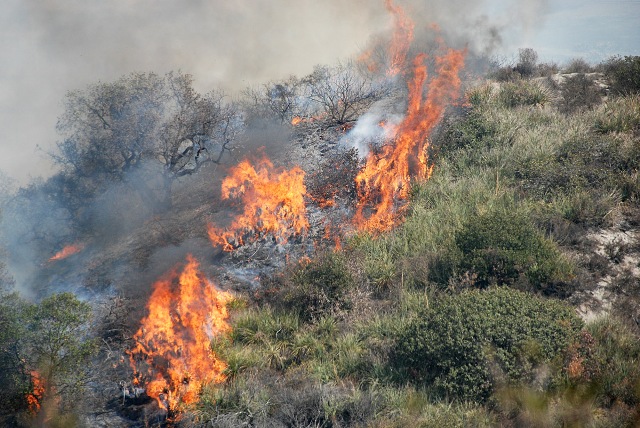 incendi_boschivi