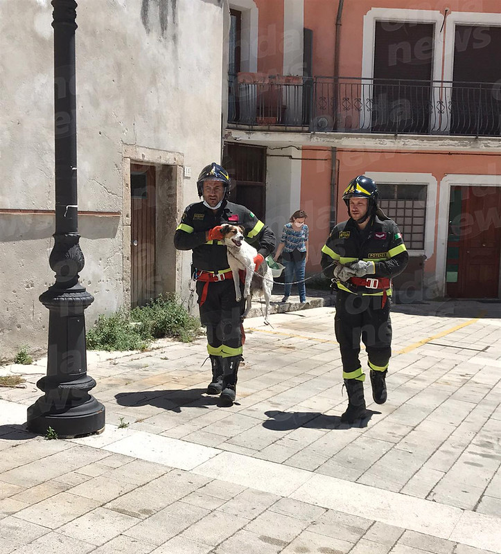 Vietri di Potenza: i Vigili del Fuoco mettono in salvo il cane Lulù finito in un dirupo