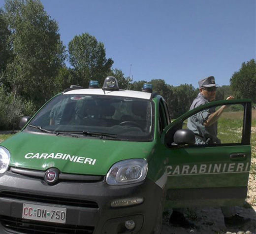 Sassano: taglia oltre 250 alberi di quercia senza permesso del Parco Nazionale. Scatta la sanzione