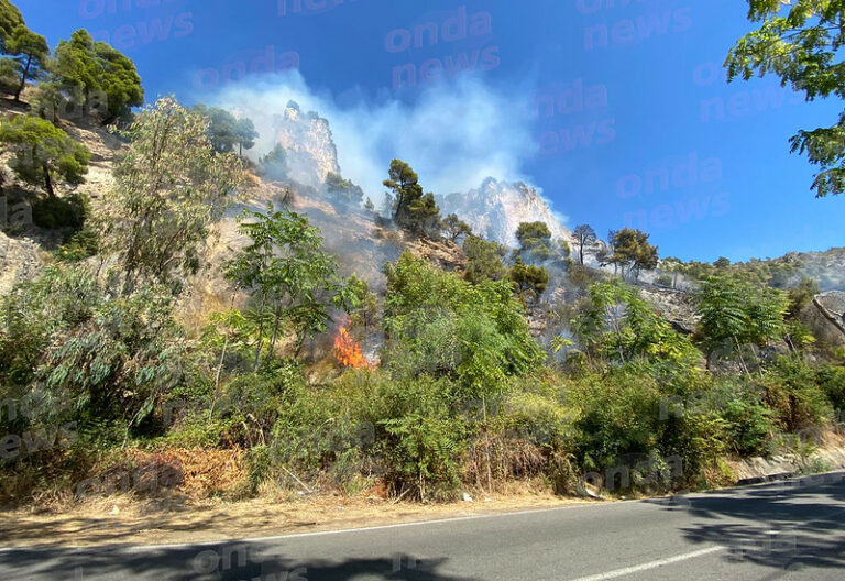 In fiamme la Pineta di Sant’Iconio a Marina di Camerota. Canadair in azione per spegnere le fiamme