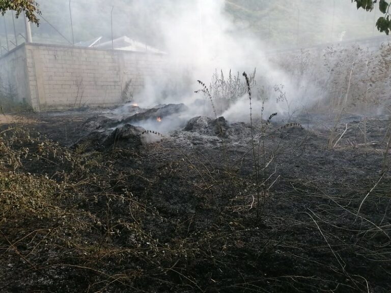 Ancora incendi nel Vallo di Diano. In fiamme vegetazione in località Castagneta a Teggiano