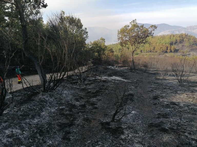 Incendio boschivo tra Atena Lucana e Sala Consilina. Continua a bruciare la vegetazione, Canadair in azione