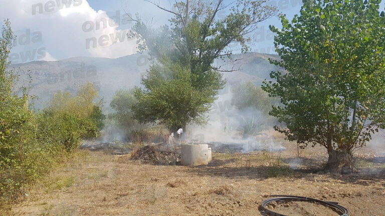 Controlli dei Carabinieri sugli incendi boschivi nel Cilento. Multe per 22mila euro e diverse denunce