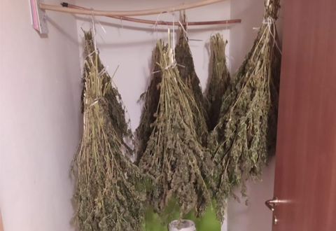 marijuana-arresto-eboli-25-settembre-2020-fb