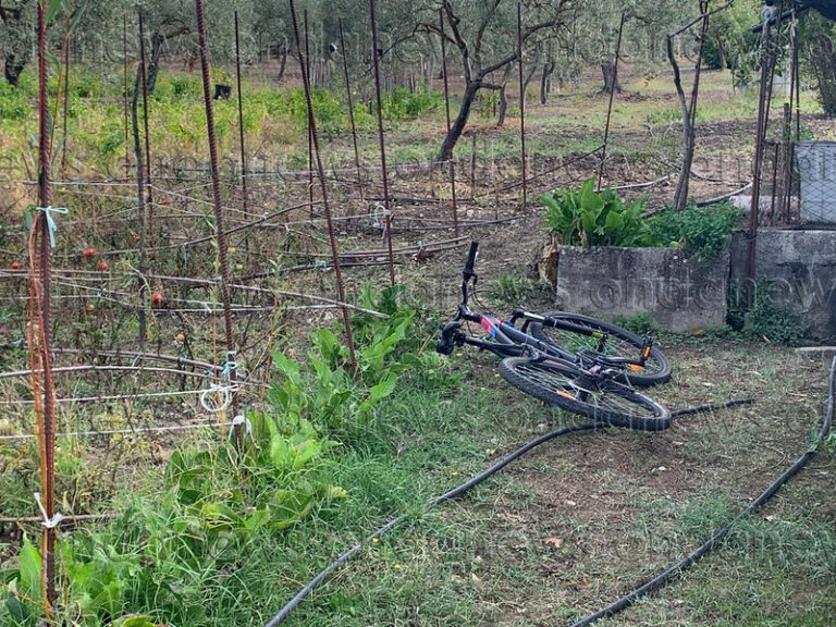 Ladri in azione a Vietri di Potenza, messi a segno due furti. Rubata un’auto ritrovata a Capaccio