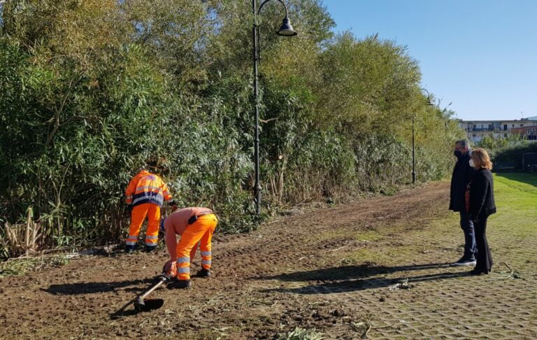 Ad Agropoli presto l’attivazione di un’area sgambamento cani. 800 metri quadrati dedicati agli amici a 4 zampe