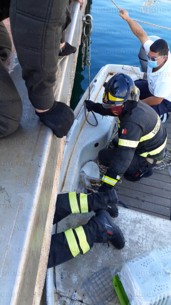 Gattino rimane incastrato sotto gli scogli del porto di Camerota. Salvato da Vigili del Fuoco e Capitaneria