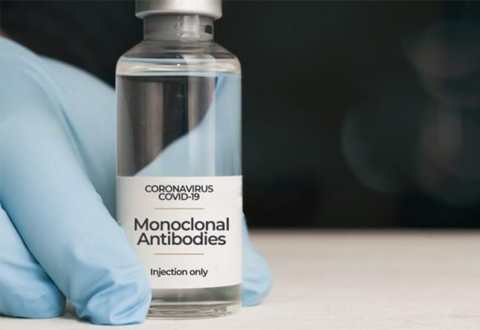 anticorpi-monoclonali-480-330