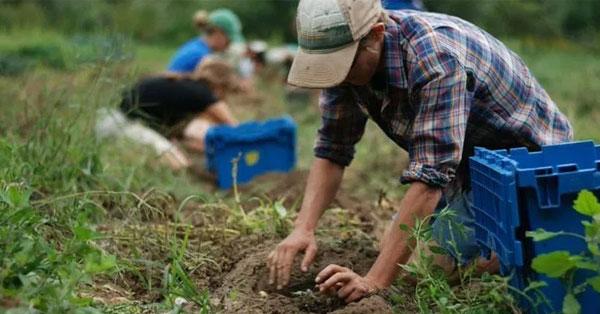 lavoratori-agricoli-fb-nuova