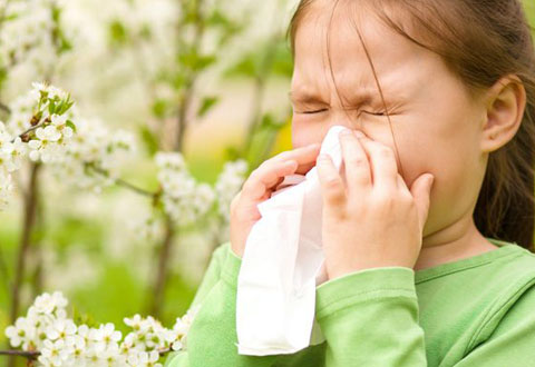 allergie primaverili evidenza