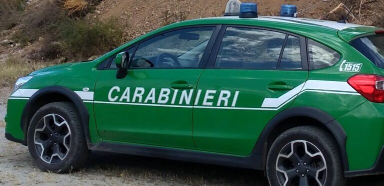 carabinieri forestali