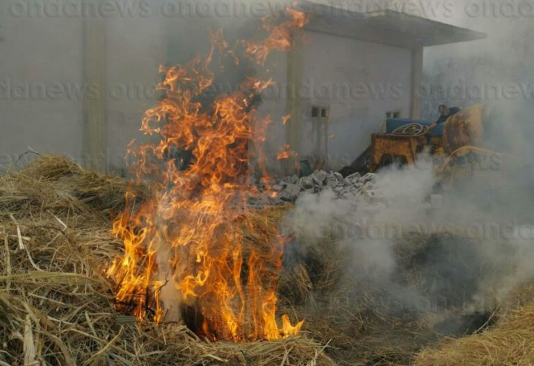 incendio-fienile-sala-consilina-21-luglio-2021-ev