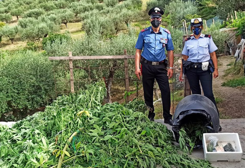 arresto carabinieri agropoli 11 agosto evidenza