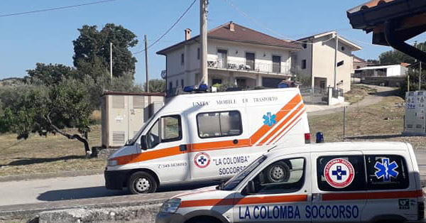 colomba soccorso fb