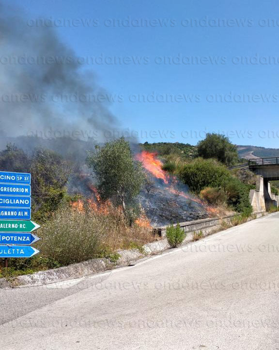 incendio buccino 14 agosto ok