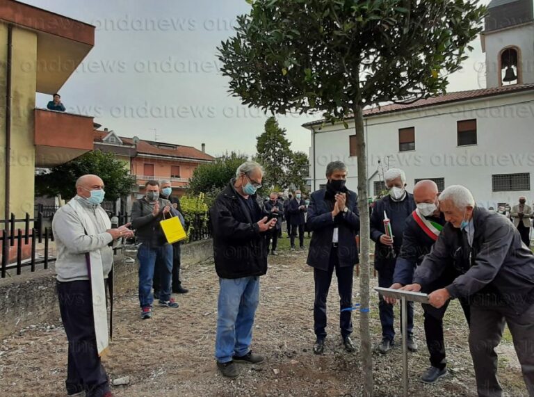 alloro in ricordo di Giovanni Di Miele 1