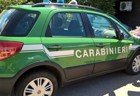 carabinieri forestali