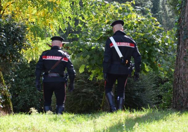 carabinieri bosco