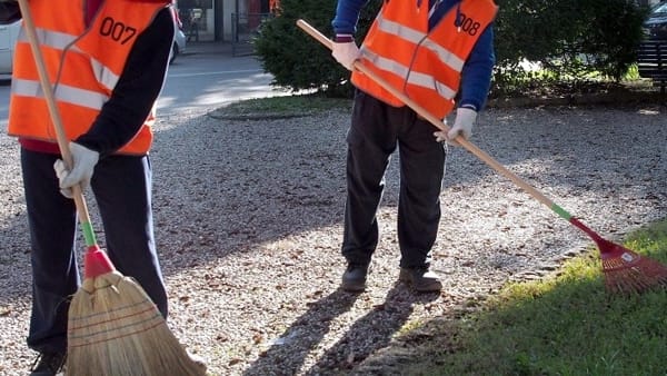 lavori reddito cittadinanza