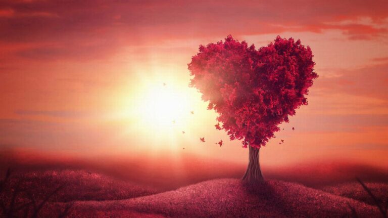 Albero dell'amore del cuore, amore infinito, eterno