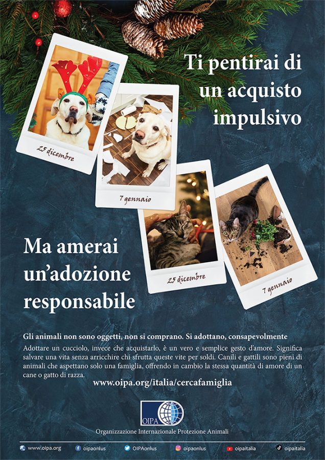 Campagna OIPA-natale 2021