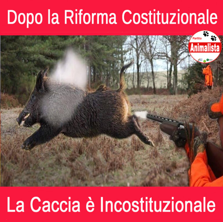 Post_Caccia_Incostituzionale