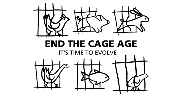 end the cage age fb