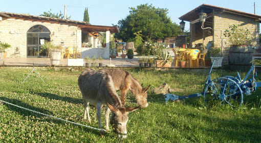 agriturismo coldiretti