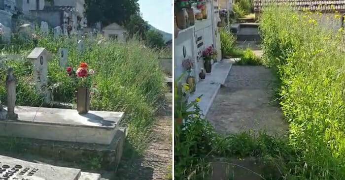 erba cimitero padula FB