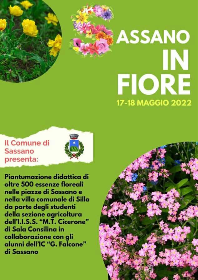 sassano in fiore locandina