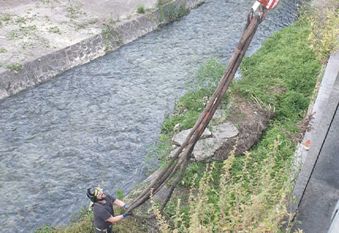 albero caduto a salerno 11 giugno evidenza