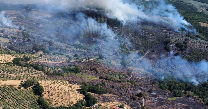 incendio serre 14 luglio 01 ok