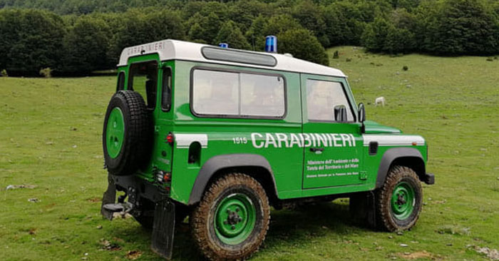 carabinieri forestali fb