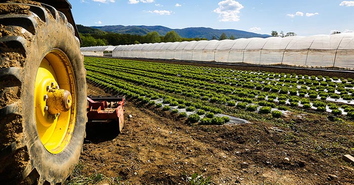 AZIENDA AGRICOLA