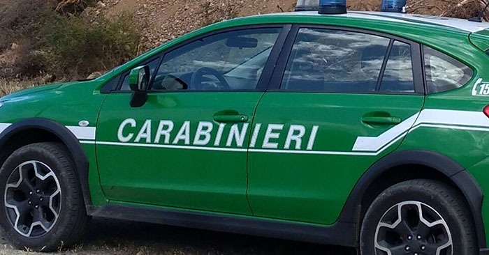 CARABINIERI FORESTALI