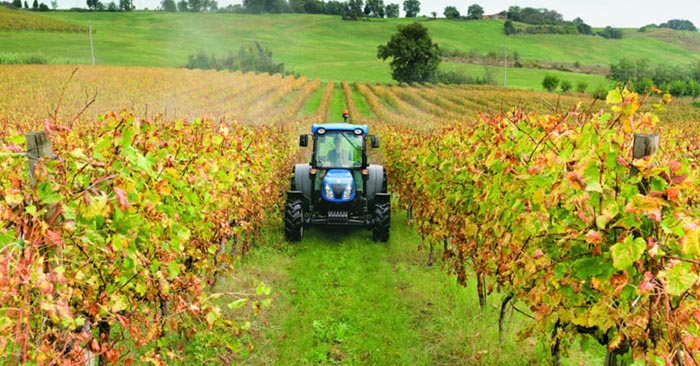 azienda agricole fondi FB