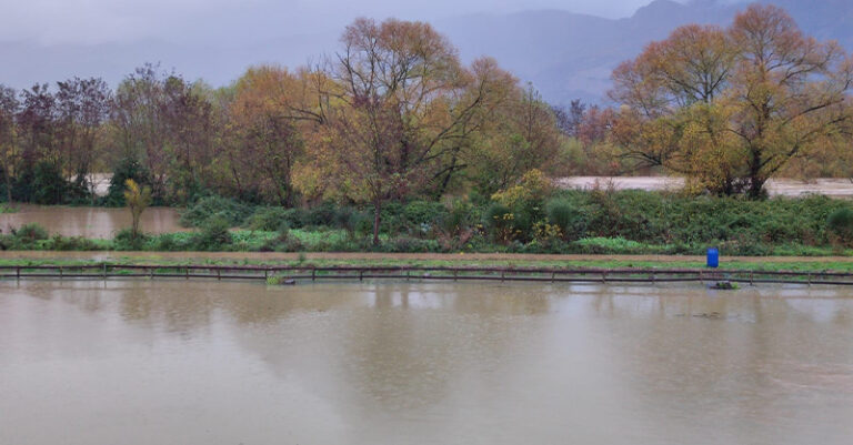 fiume calore buonabitacolo