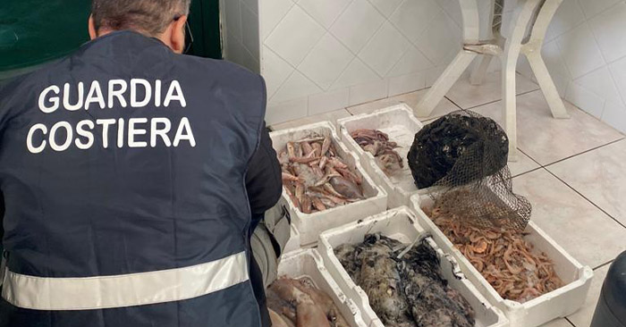 sequestro pesce 3 novembre guardia costiera