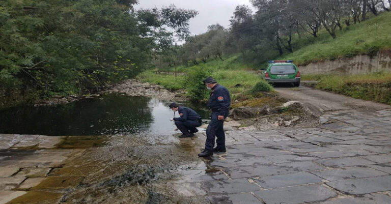 foto controlli carabinieri forestali