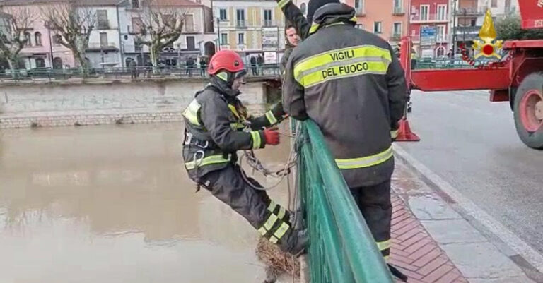 albero vigili del fuoco polla fiume tanagro