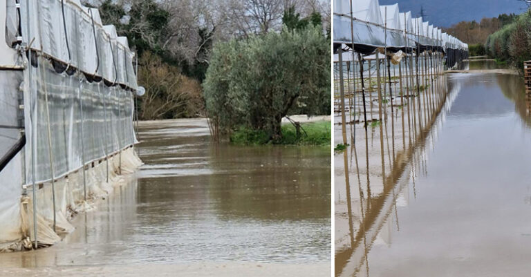 campo-agricolo-fiume-sele FB