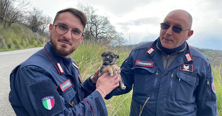 cagnolino salvato ottati FB