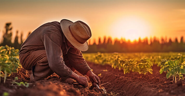 CALDO LAVORI CAMPI