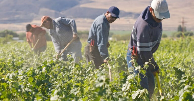 braccianti agricoli foto