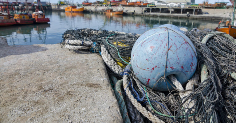 rete da pesca porto fb