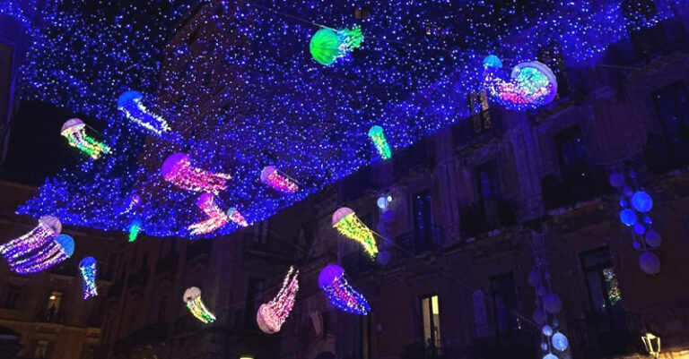 foto salerno luci meduse